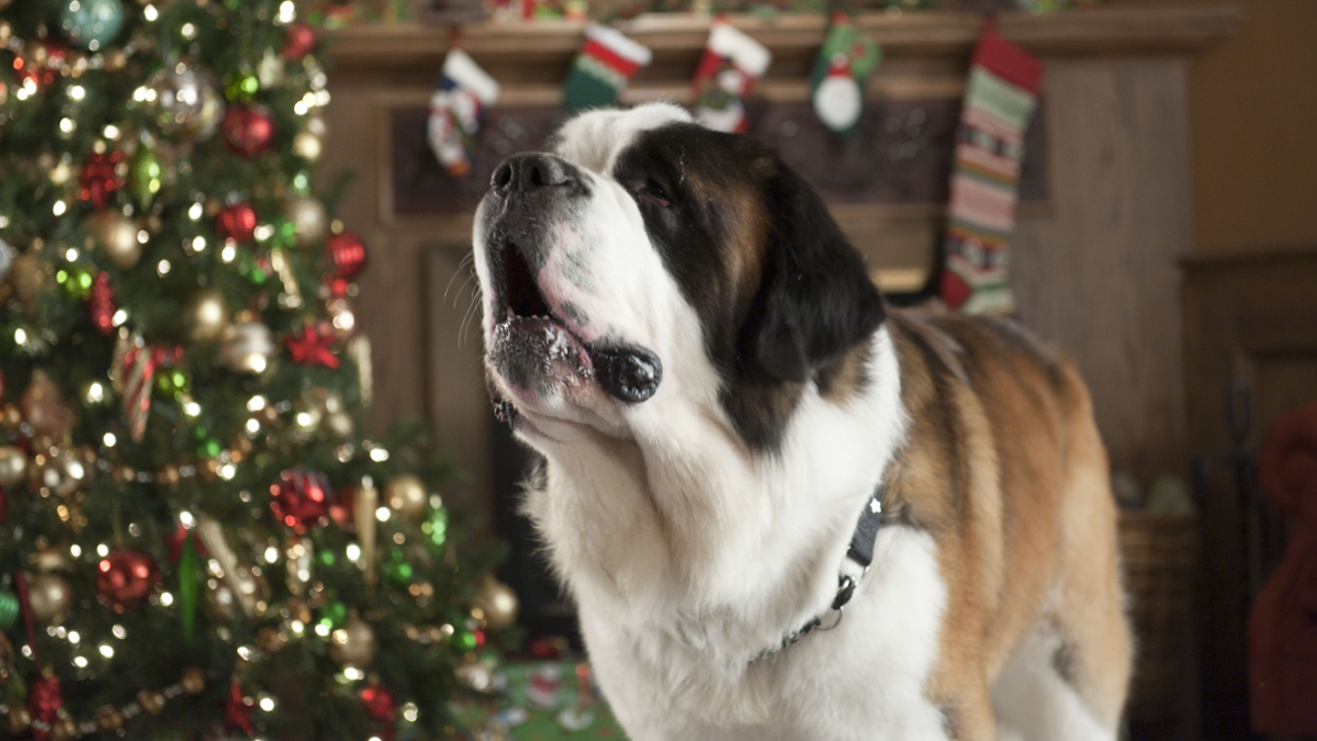Beethoven's Christmas Adventure.jpg