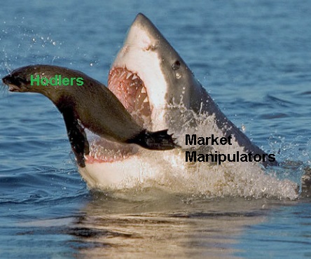 viking flats Copy Copy Copy Copy Copy.jpg