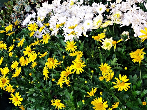20190309_070449.jpg