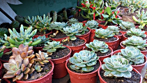 20190309_070736.jpg