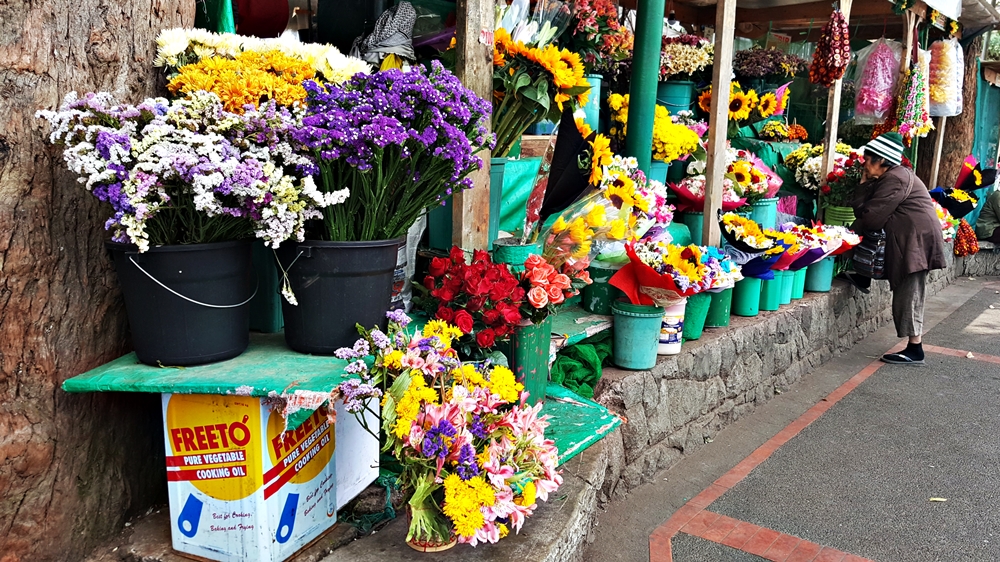 stall 1.jpg