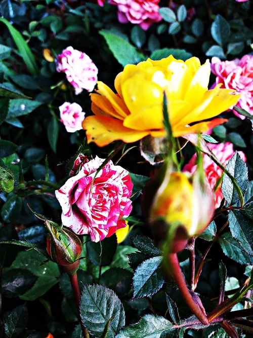 20190309_065259.jpg