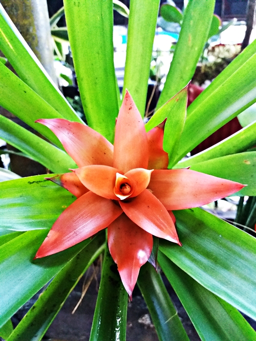 20190309_071425.jpg