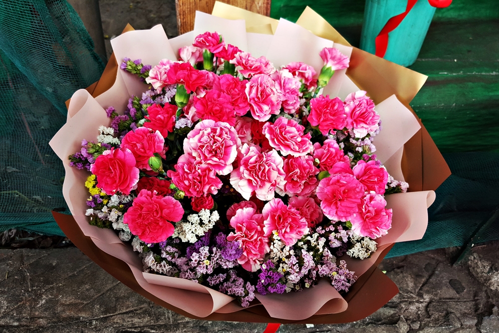 crysanthemums.jpg