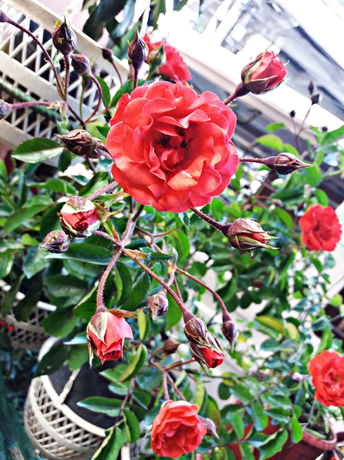 20190309_070929.jpg