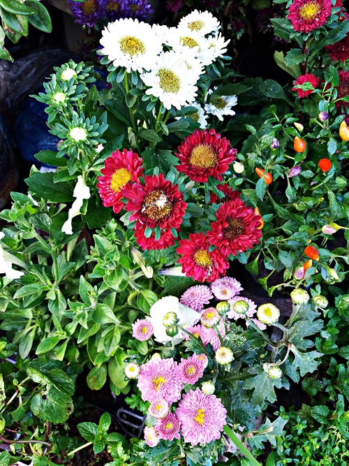 20190309_070640.jpg