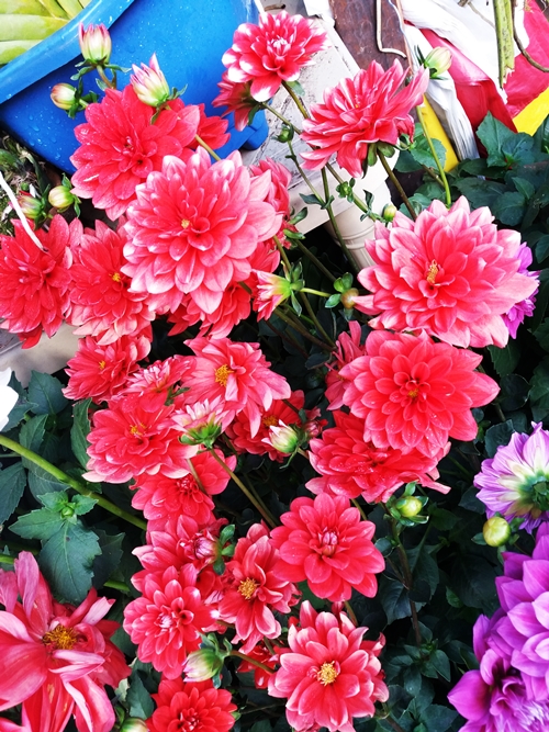 20190309_064954.jpg