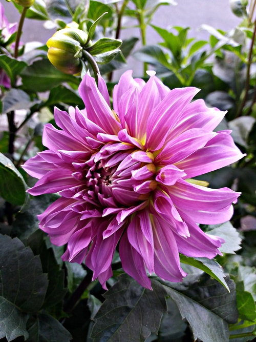 20190309_071404.jpg