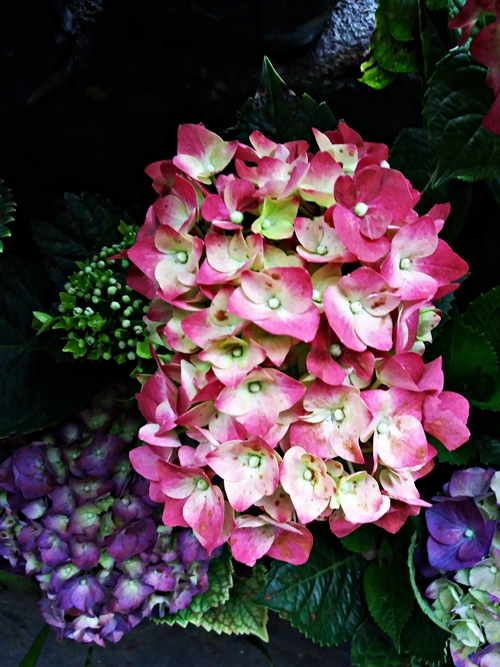 20190309_071353.jpg