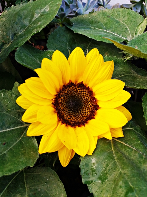 20190309_070555.jpg