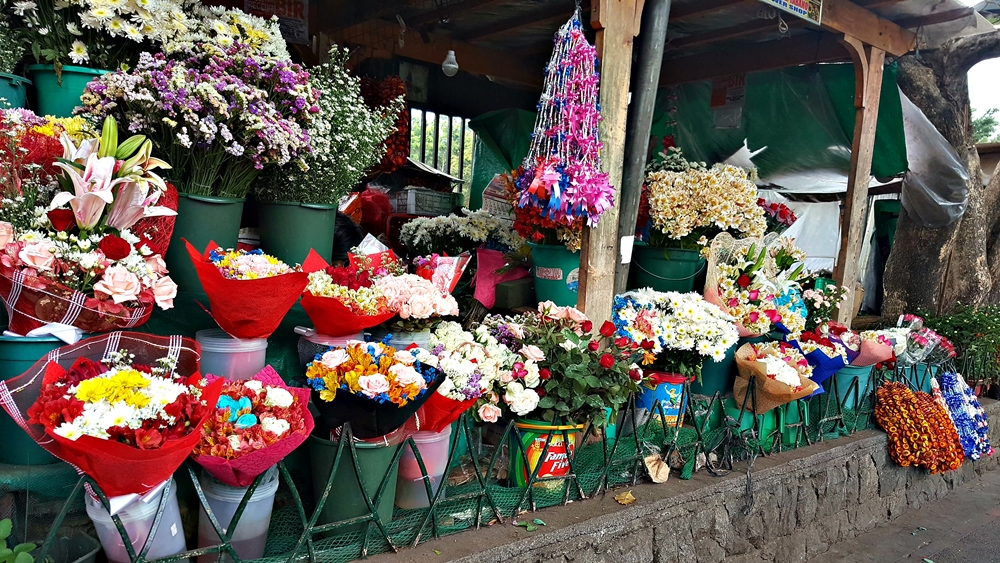 stall 2.jpg