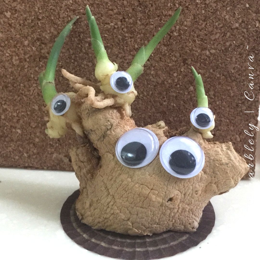 Gingerly Forest friends by @marblely
