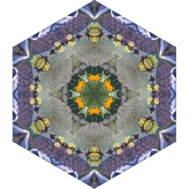 ecddc9a25fe3ffa523e044f8a3931eed640.jpg