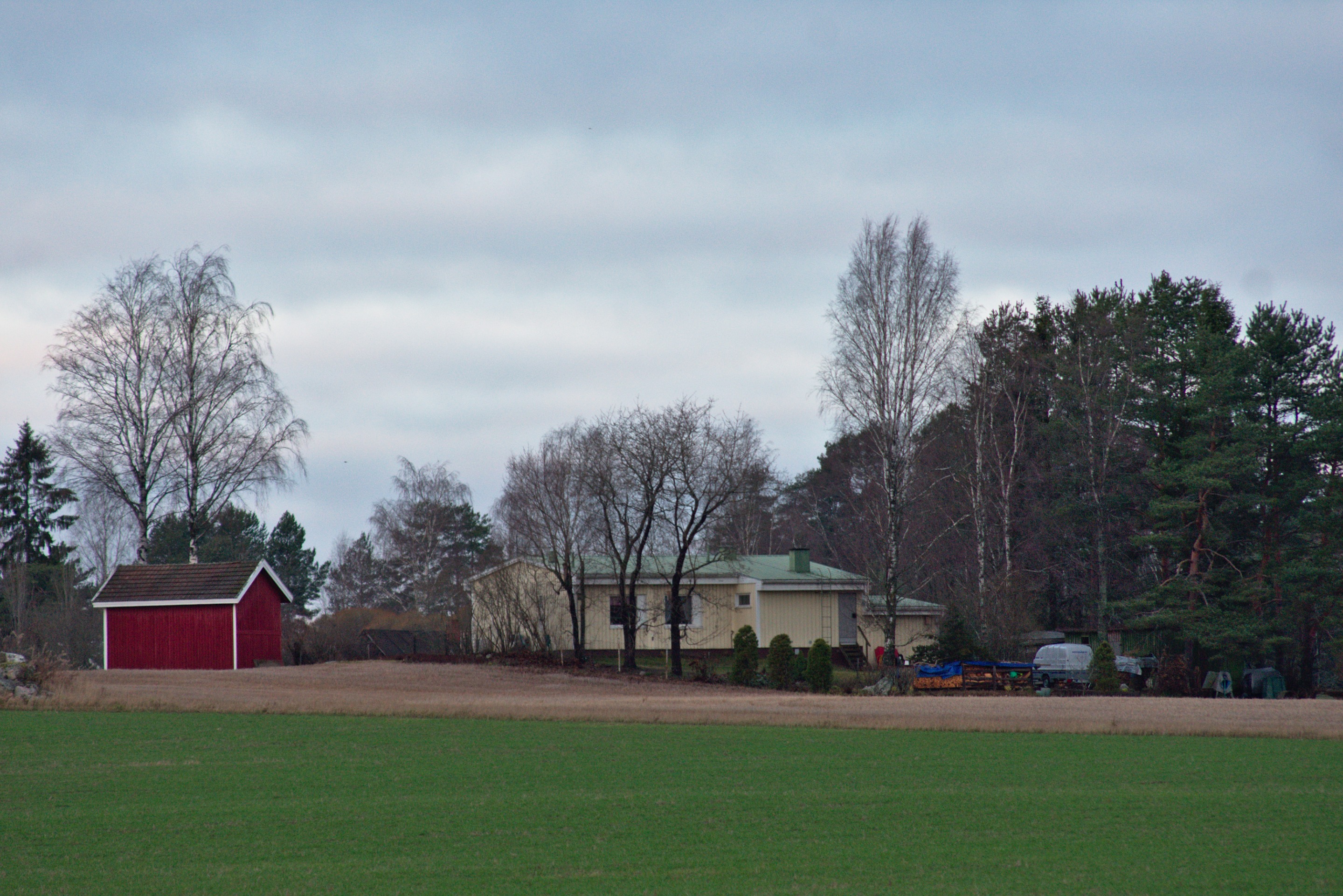 DSC_0081.jpg