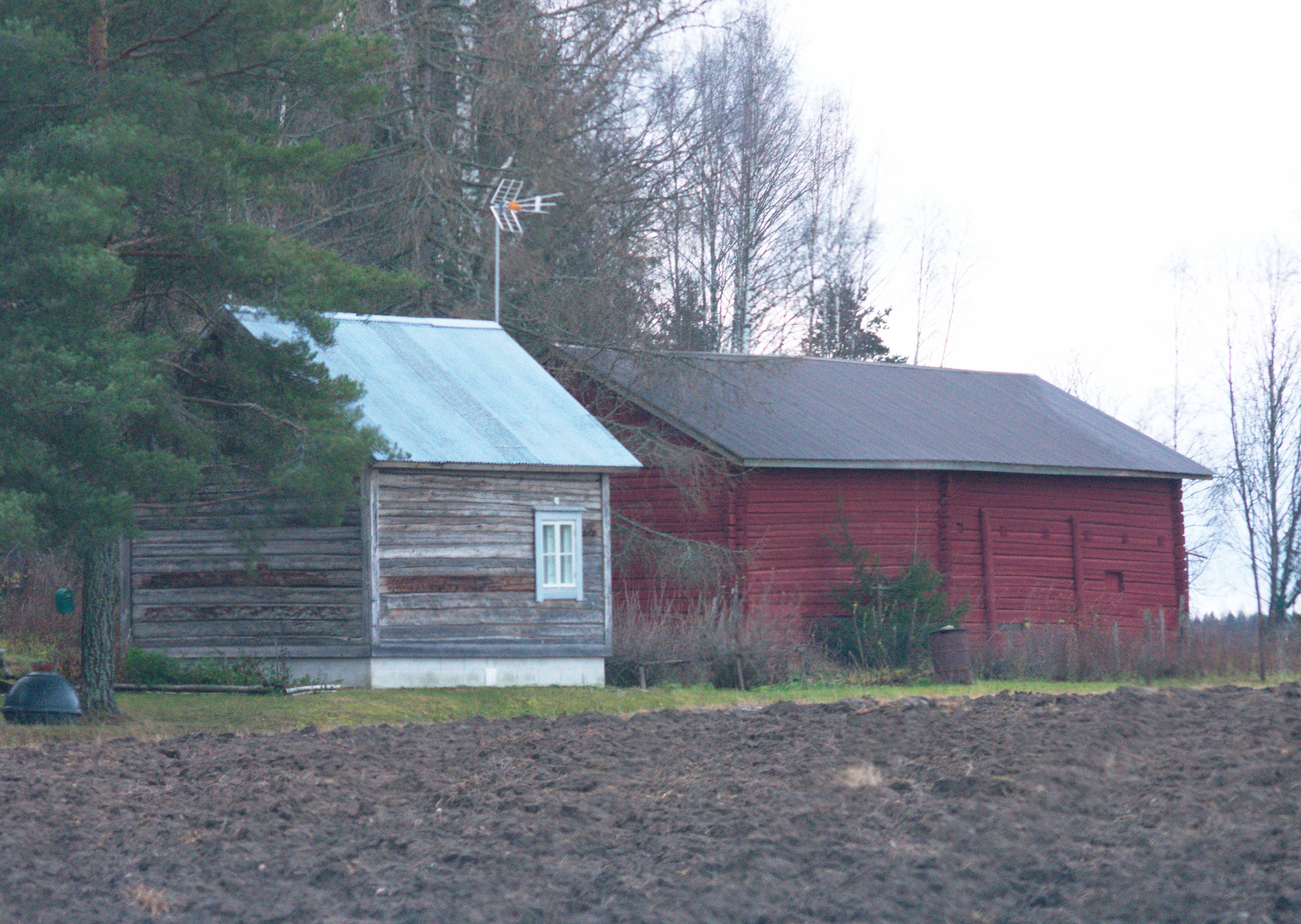 DSC_0077.jpg