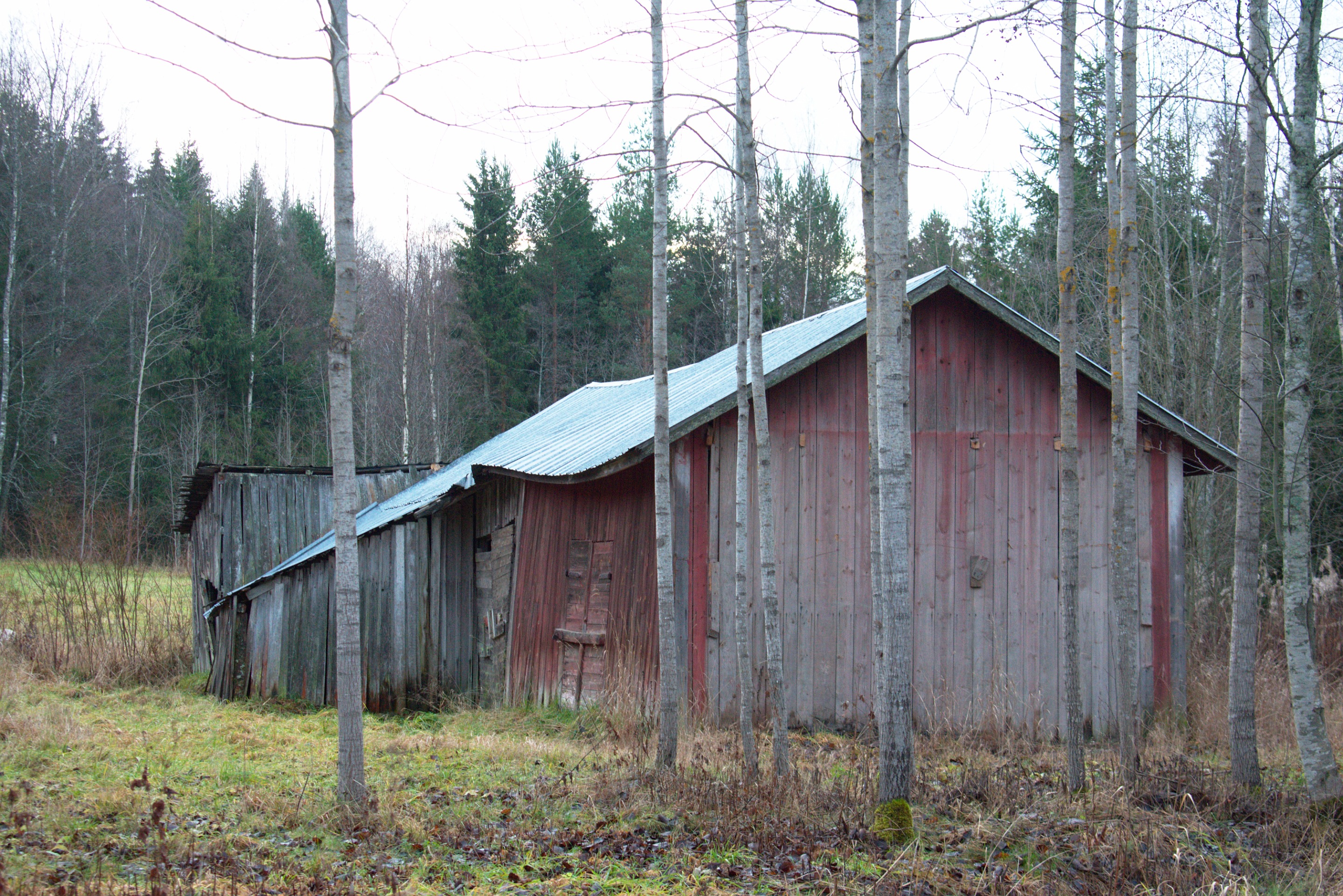 DSC_0072.jpg
