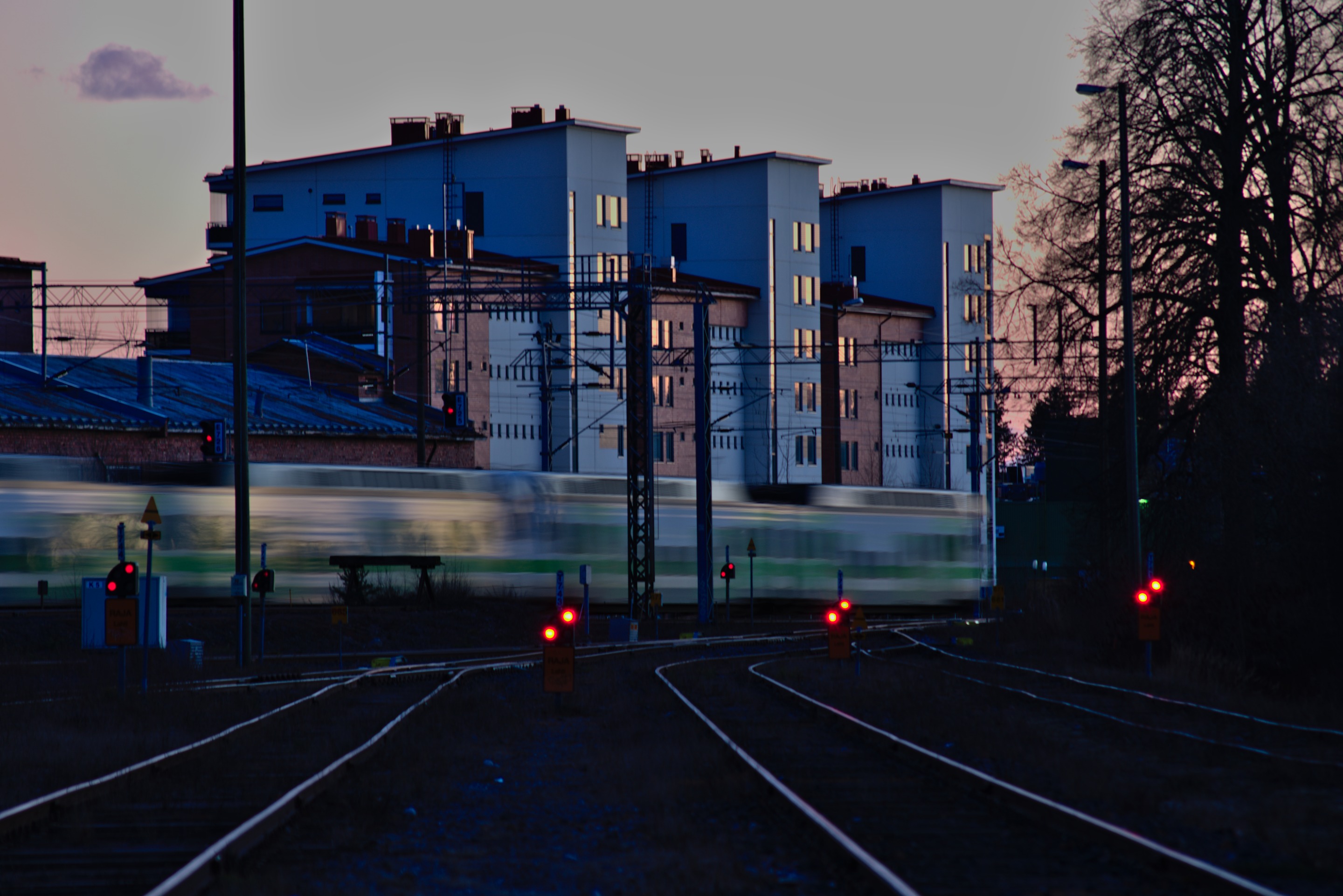 DSC_0170.jpg