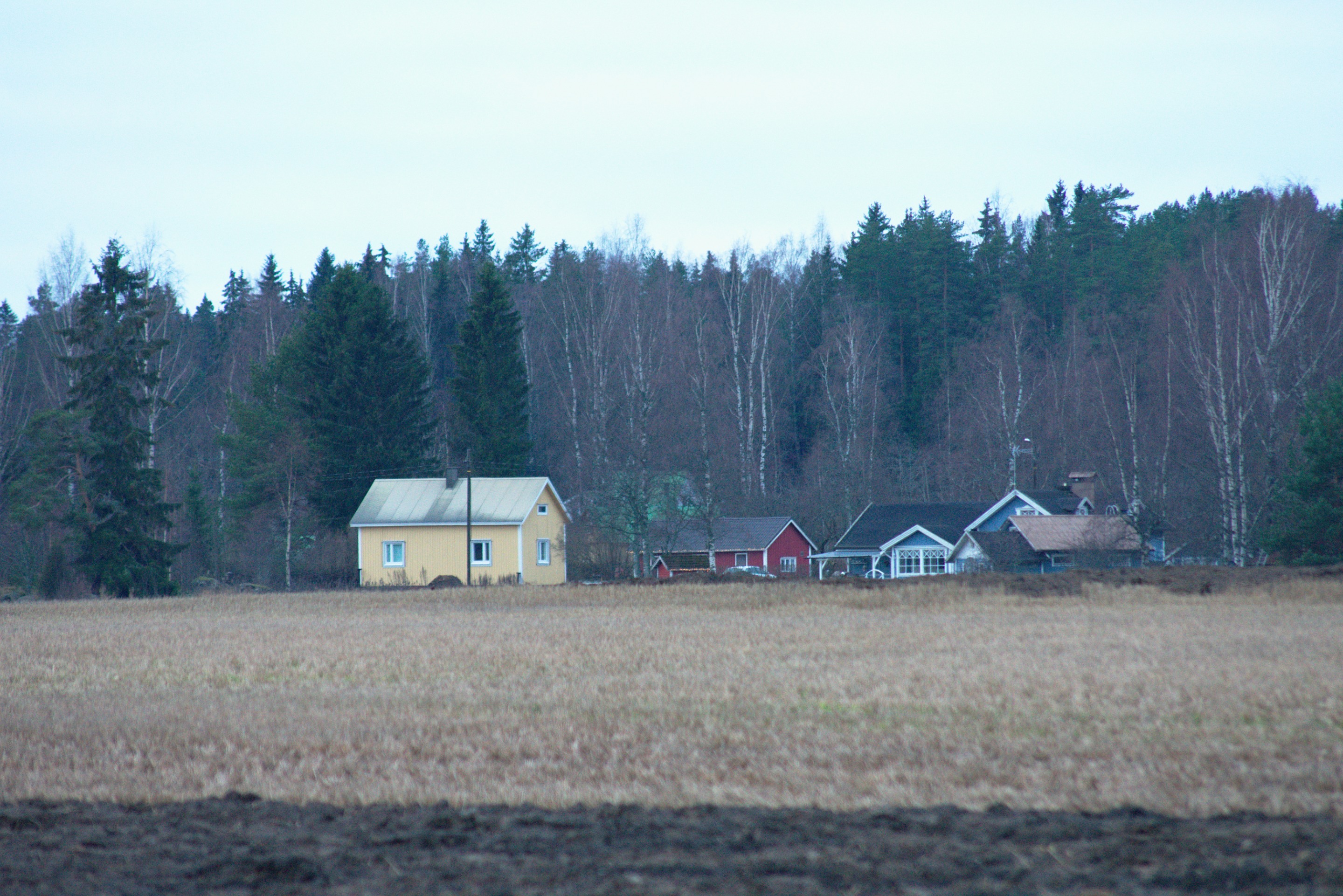 DSC_0075.jpg