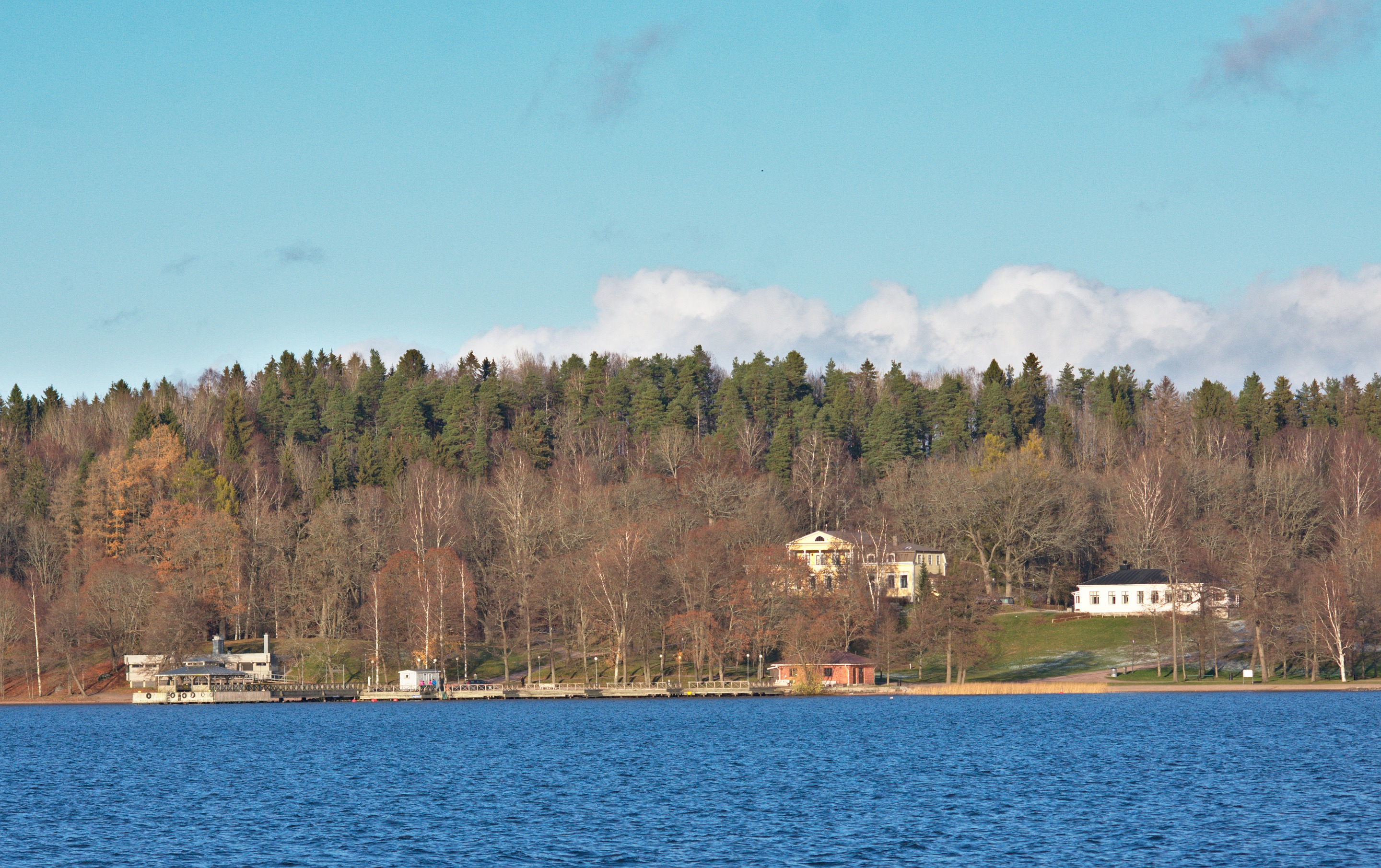 DSC_0520.jpg