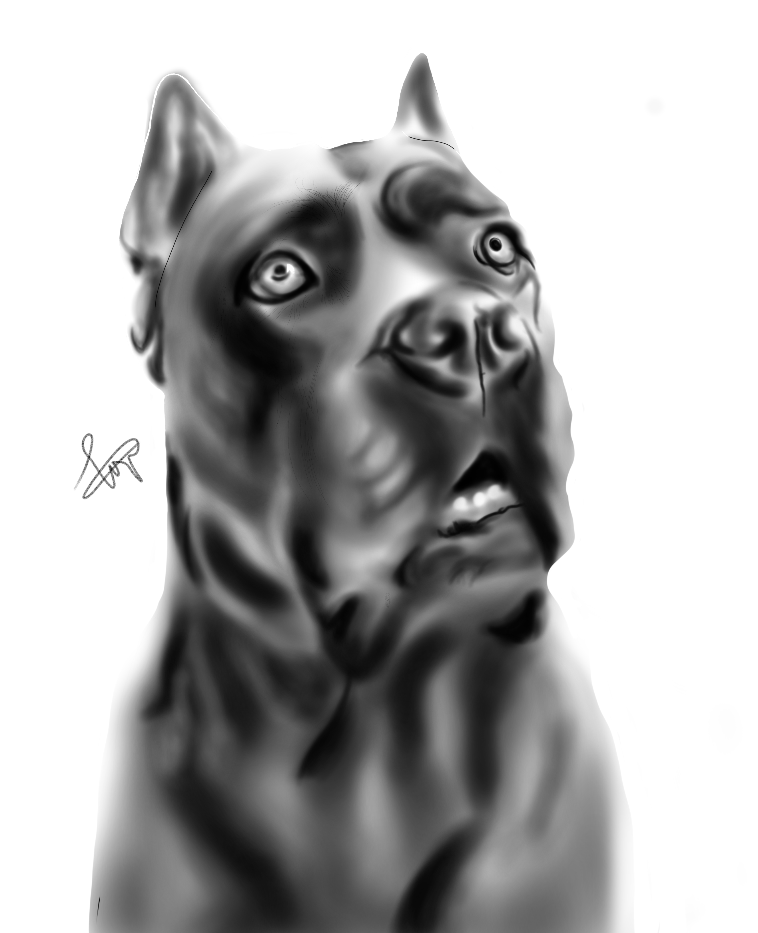 sketch1583016079827.png