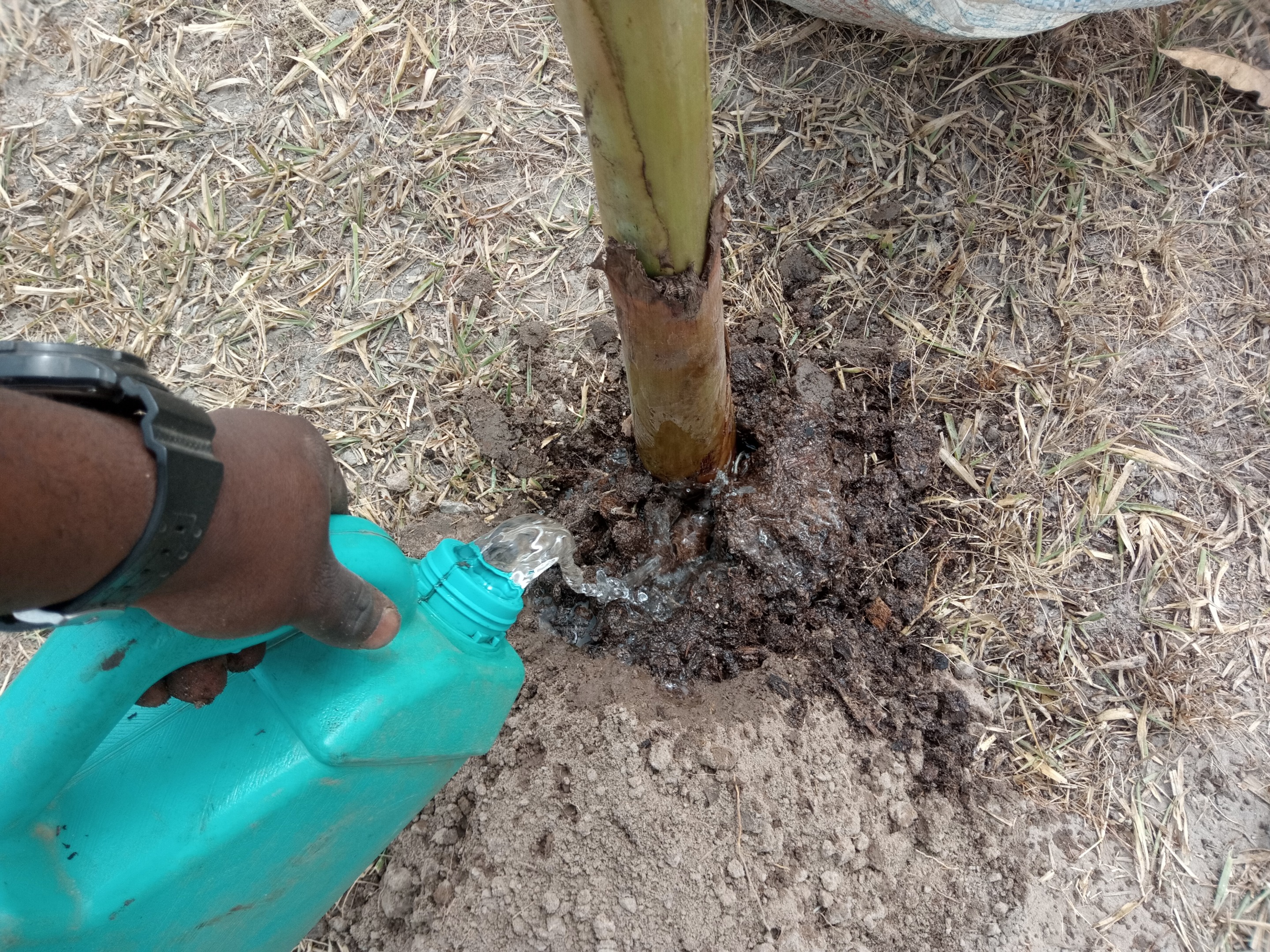 IMG_20200210_134826_6.jpg
