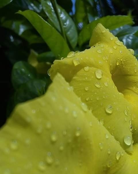 IMG_20200107_232621.jpg