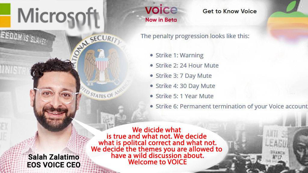 voicedump02.jpg