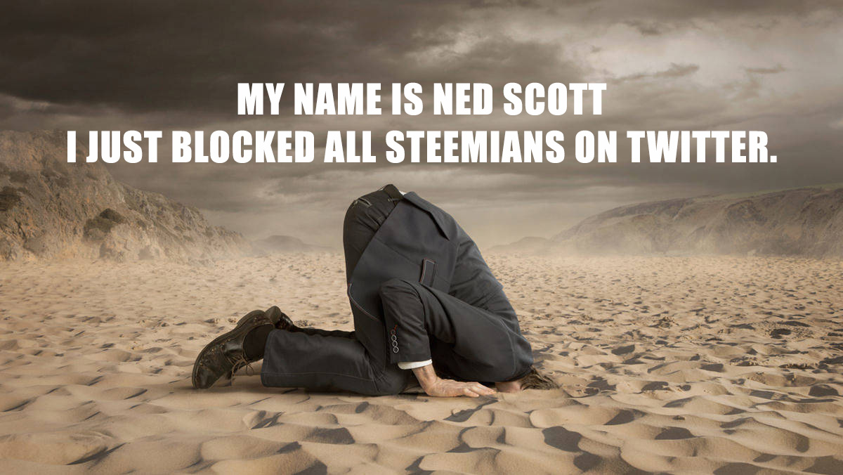 nedblocksteemians3.jpg