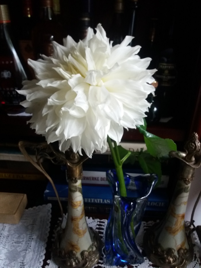 20190907_144511.jpg