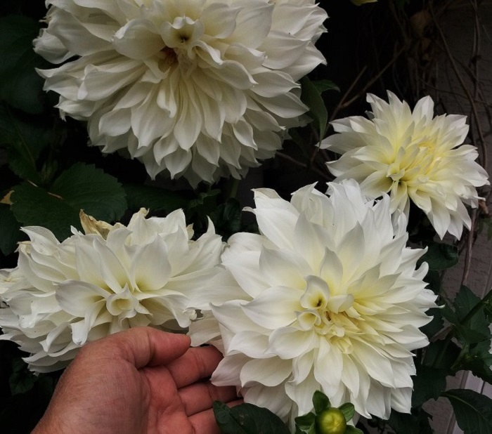 20191005_093032.jpg