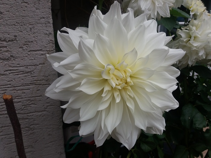 20191005_093010.jpg