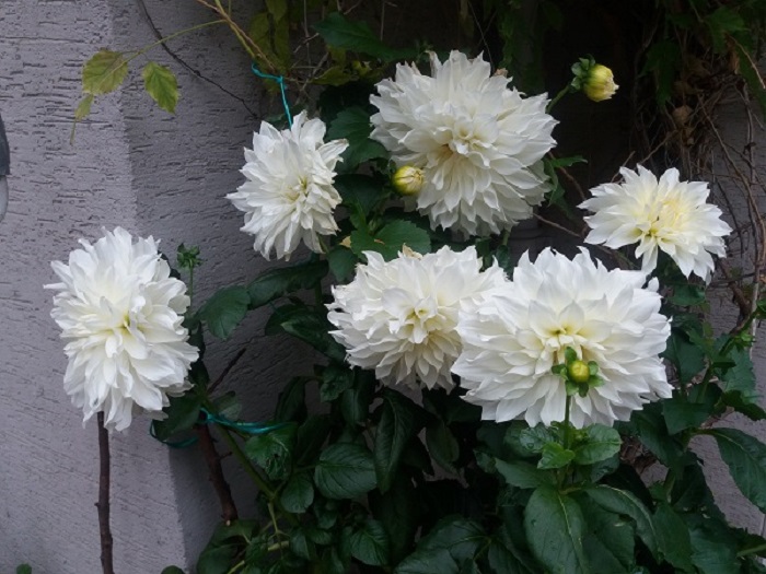 20191005_092910.jpg