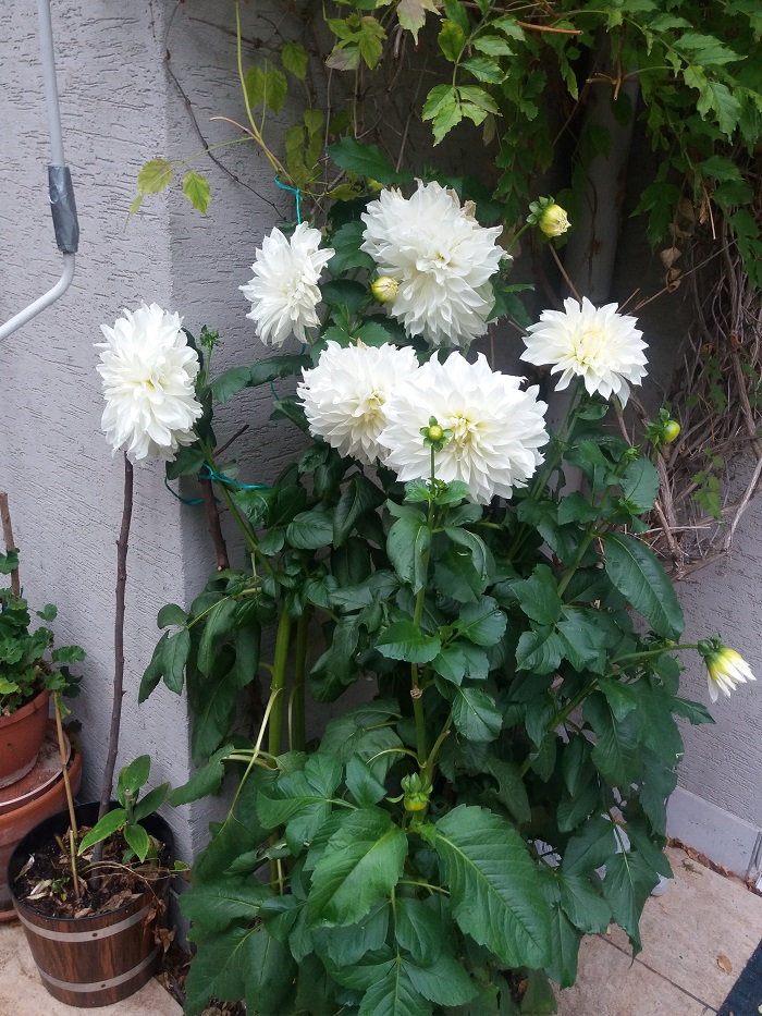 20191005_092914.jpg