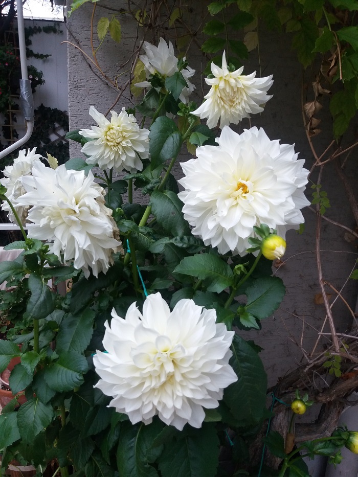 20191012_092546.jpg