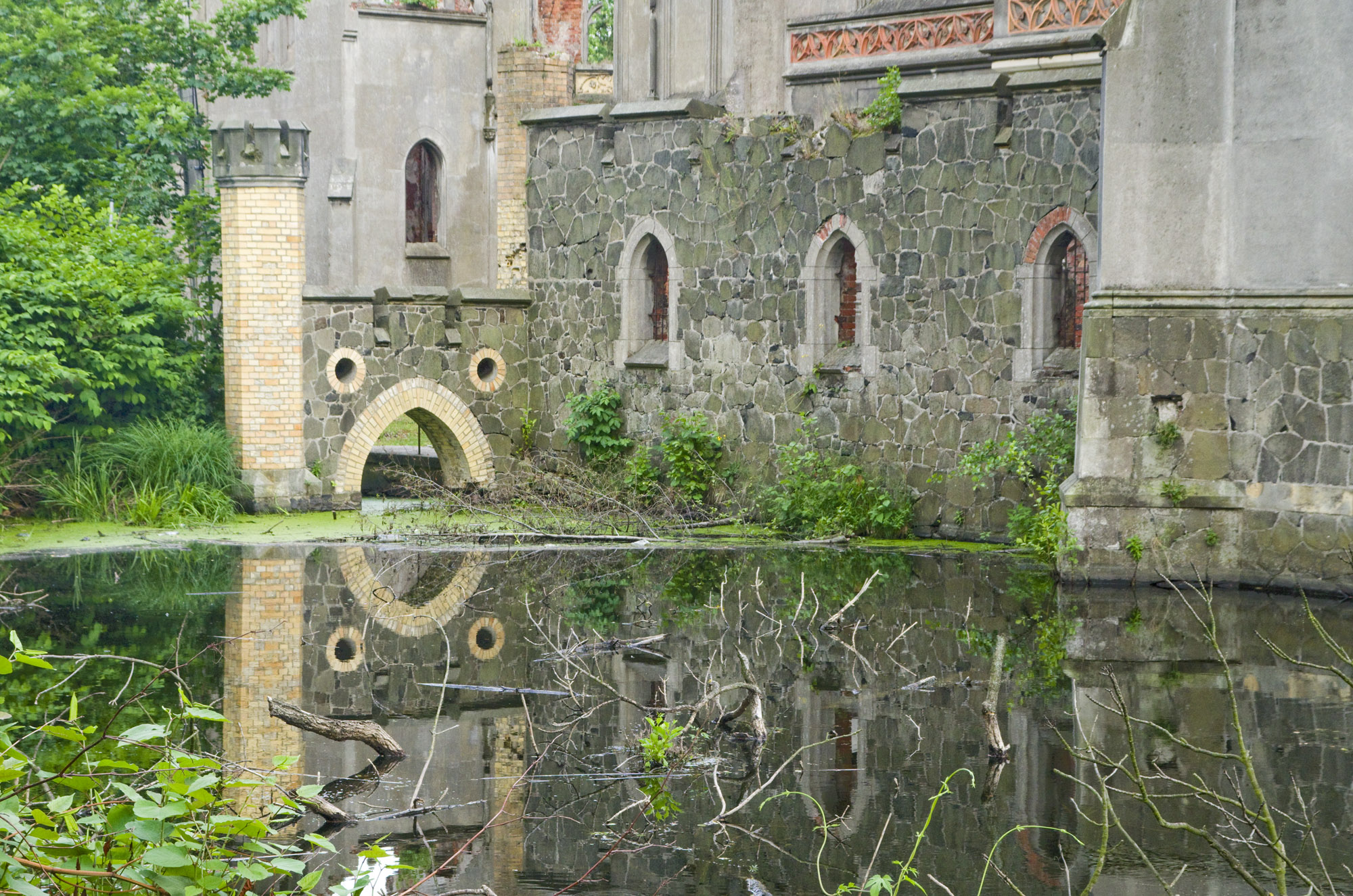 IMGP6441c.jpg