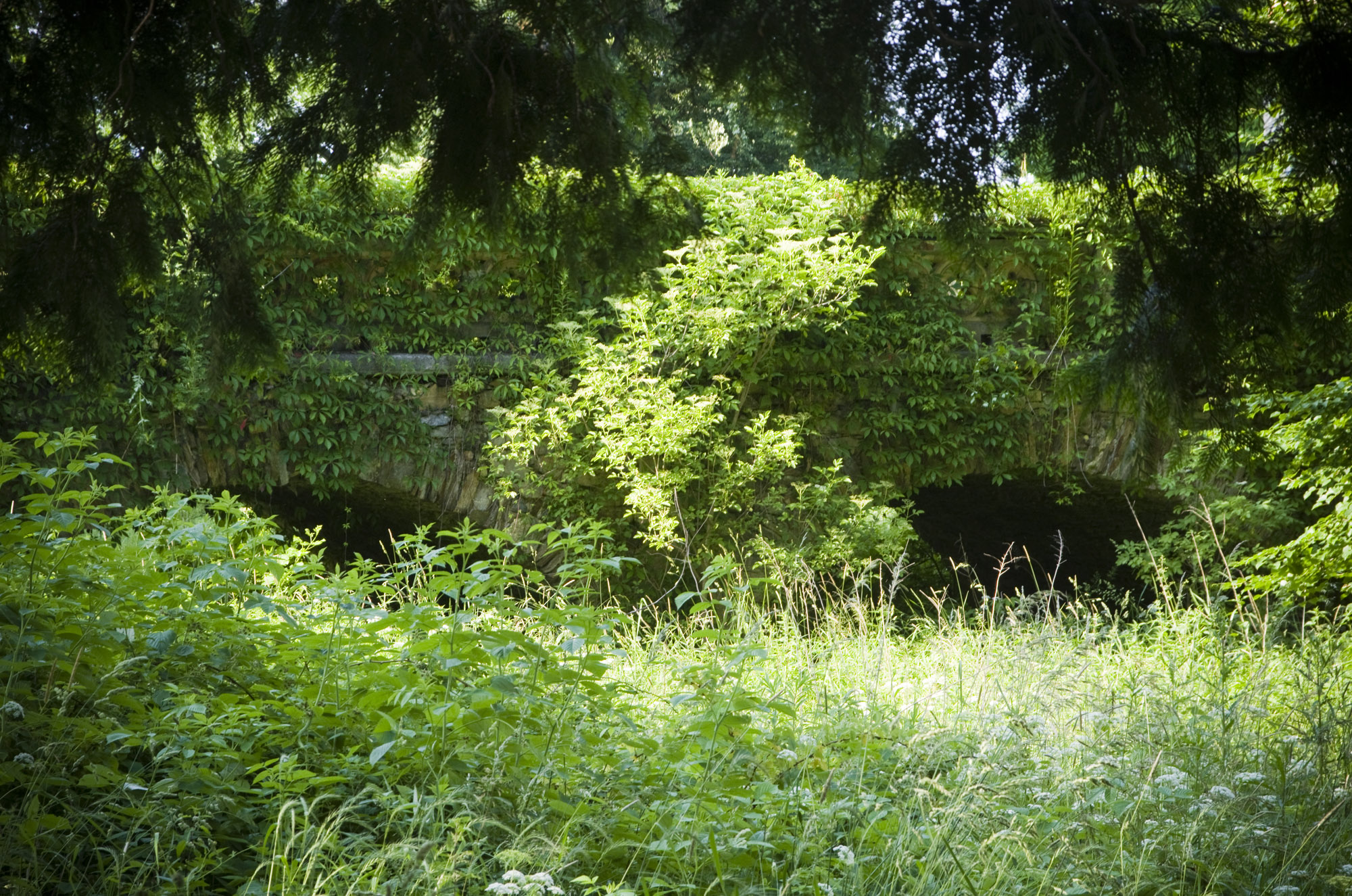 IMGP6433c.jpg
