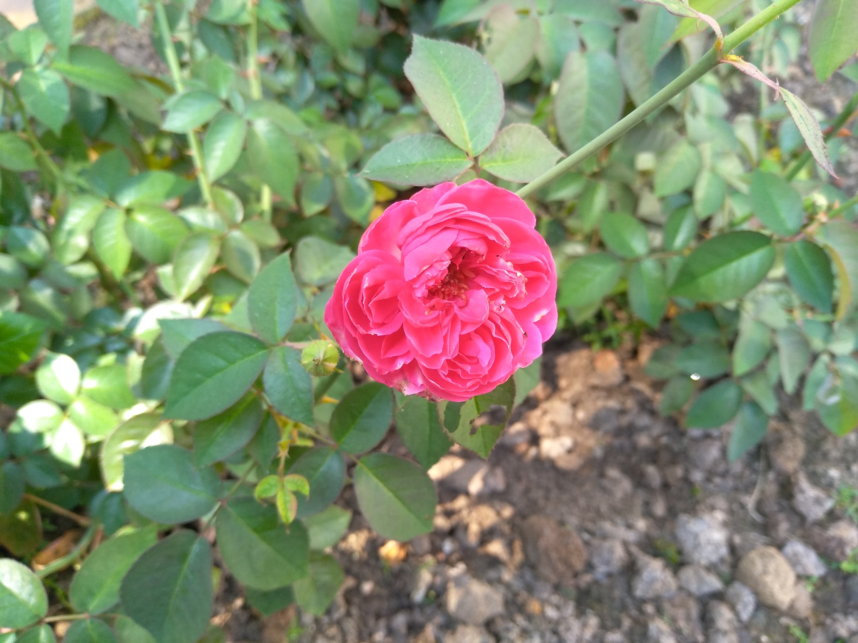 IMG_20191101_112359.jpg