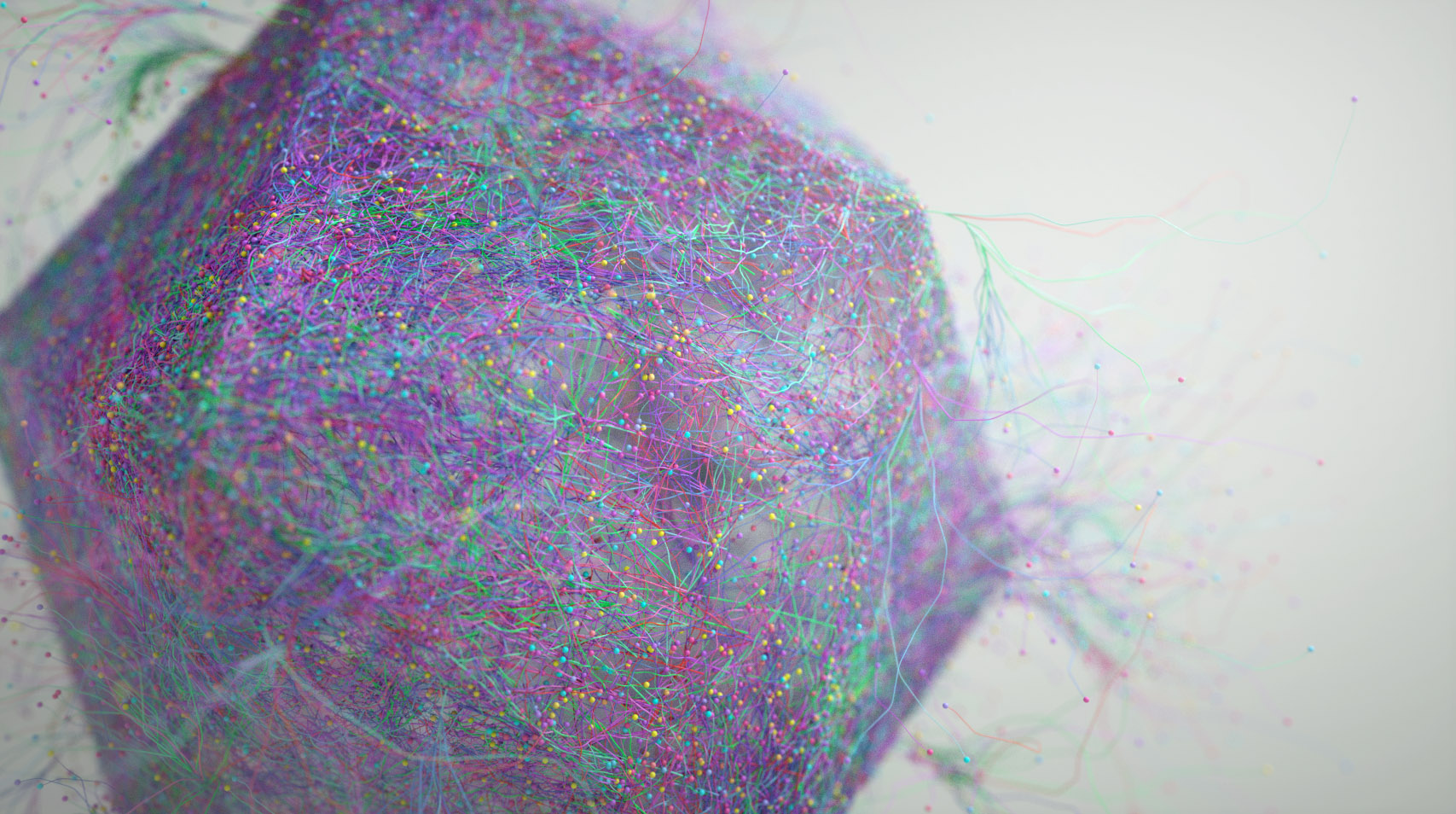 ColorfulRootTests2.jpg