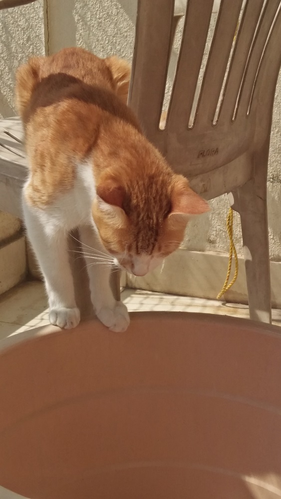 curious.jpg