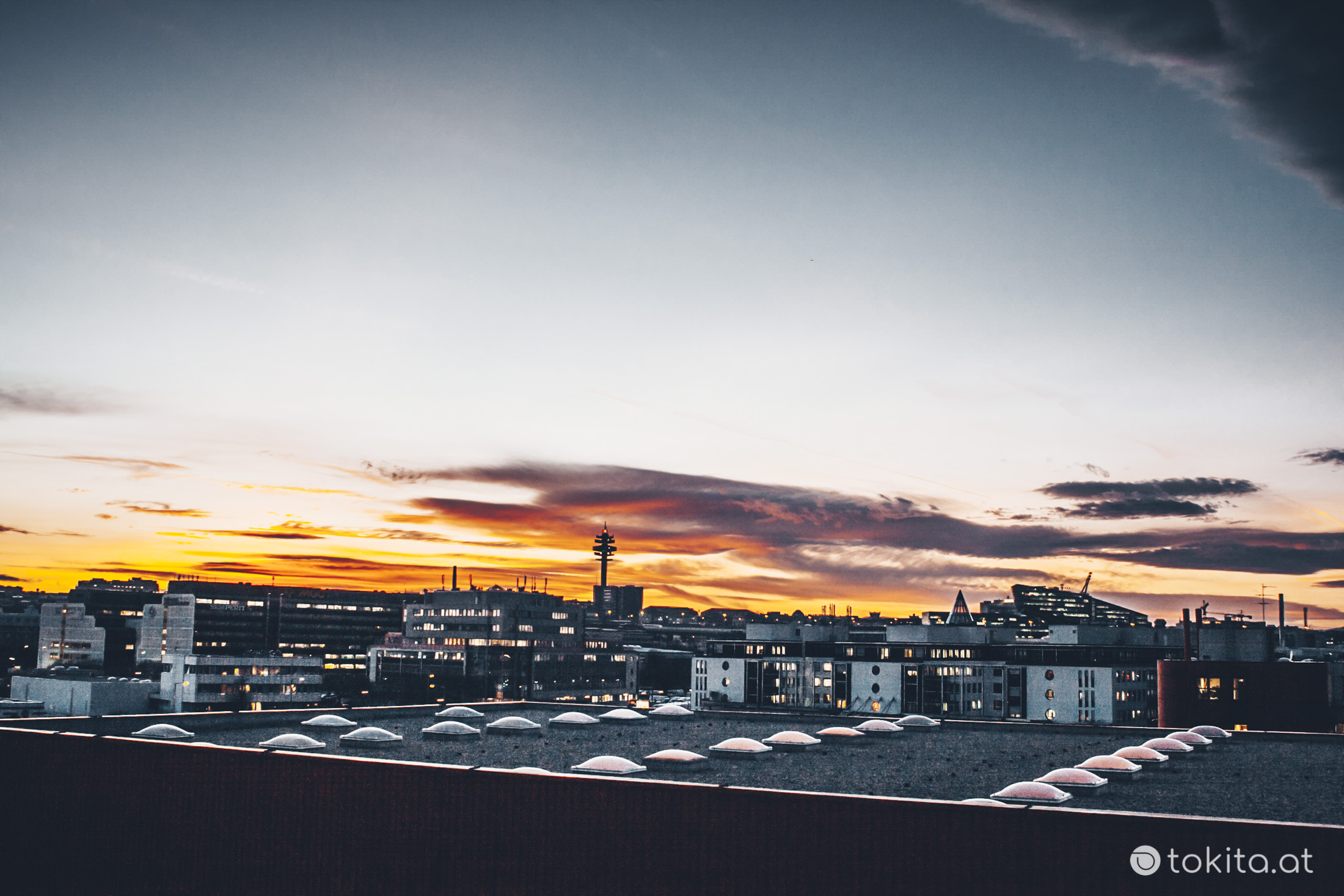 _MG_5911.jpg