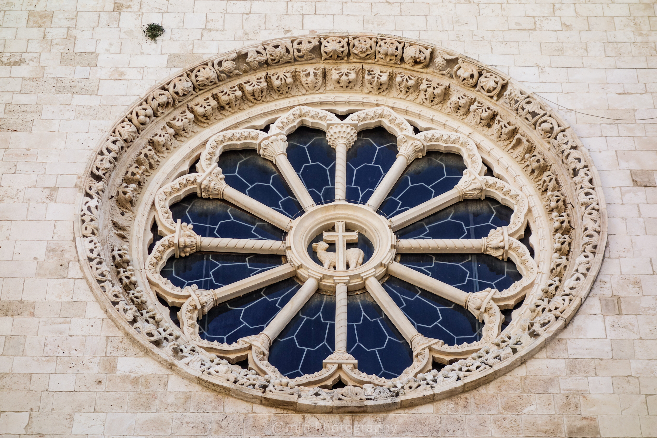 Conversano 228.jpg