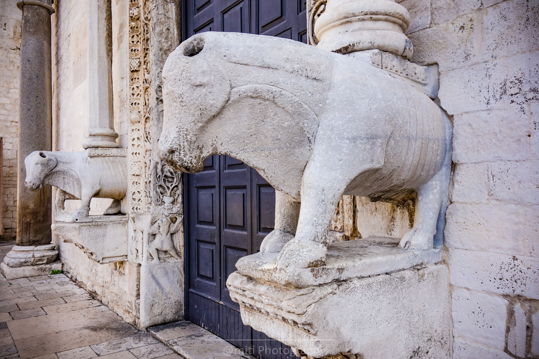 bari17.jpg