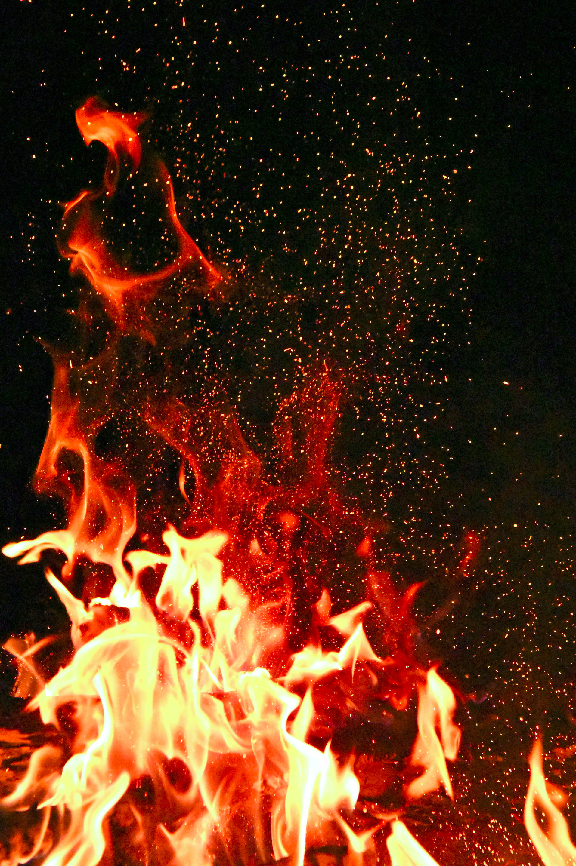 redandorangefire1558916.jpg