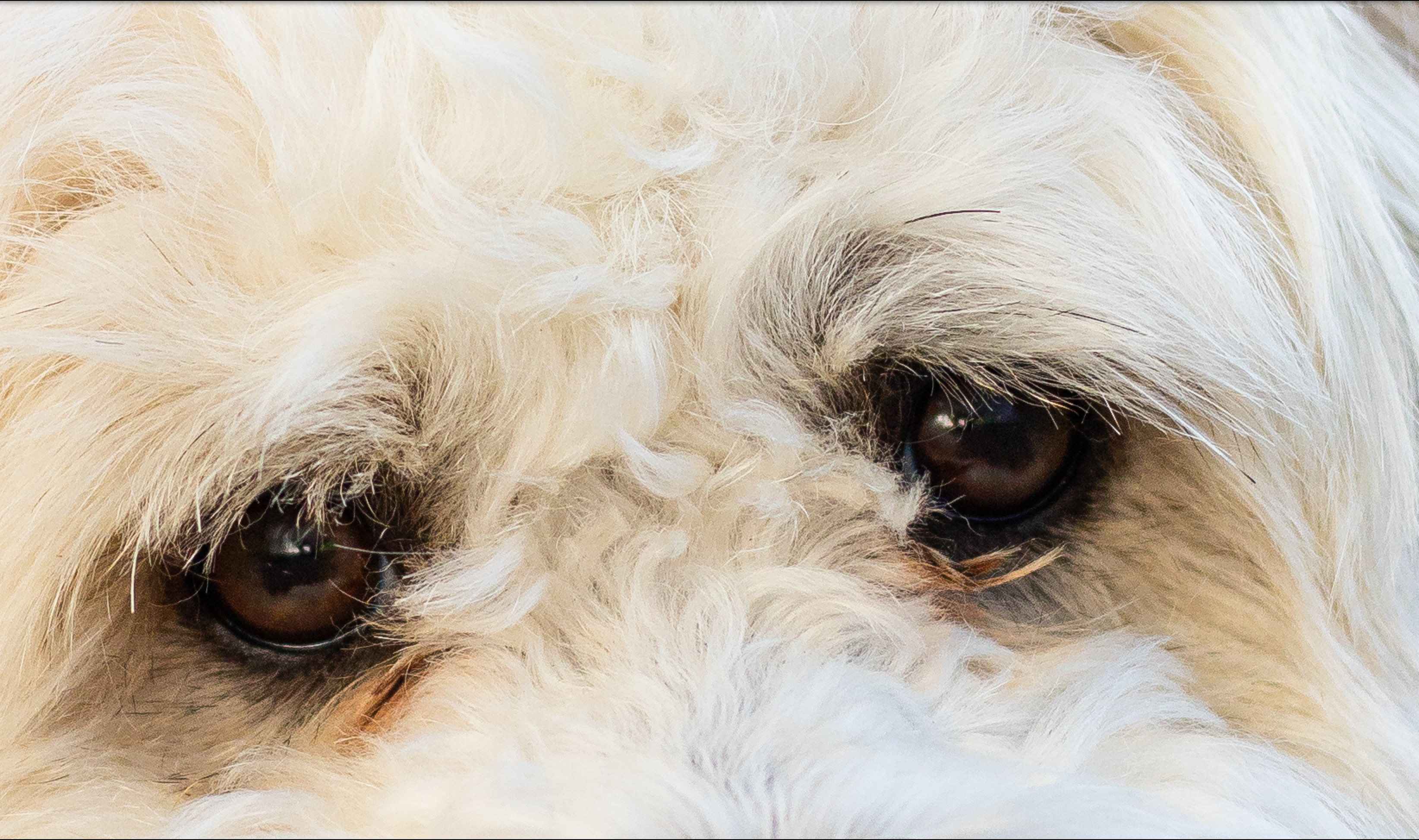 Bildschirmfoto 20190722 um 21.04.58.png