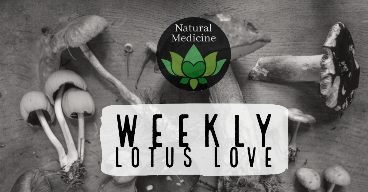 weekly lotus love.png