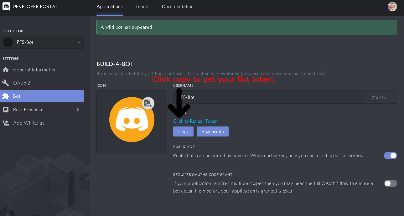 DeveloperBotToken.PNG