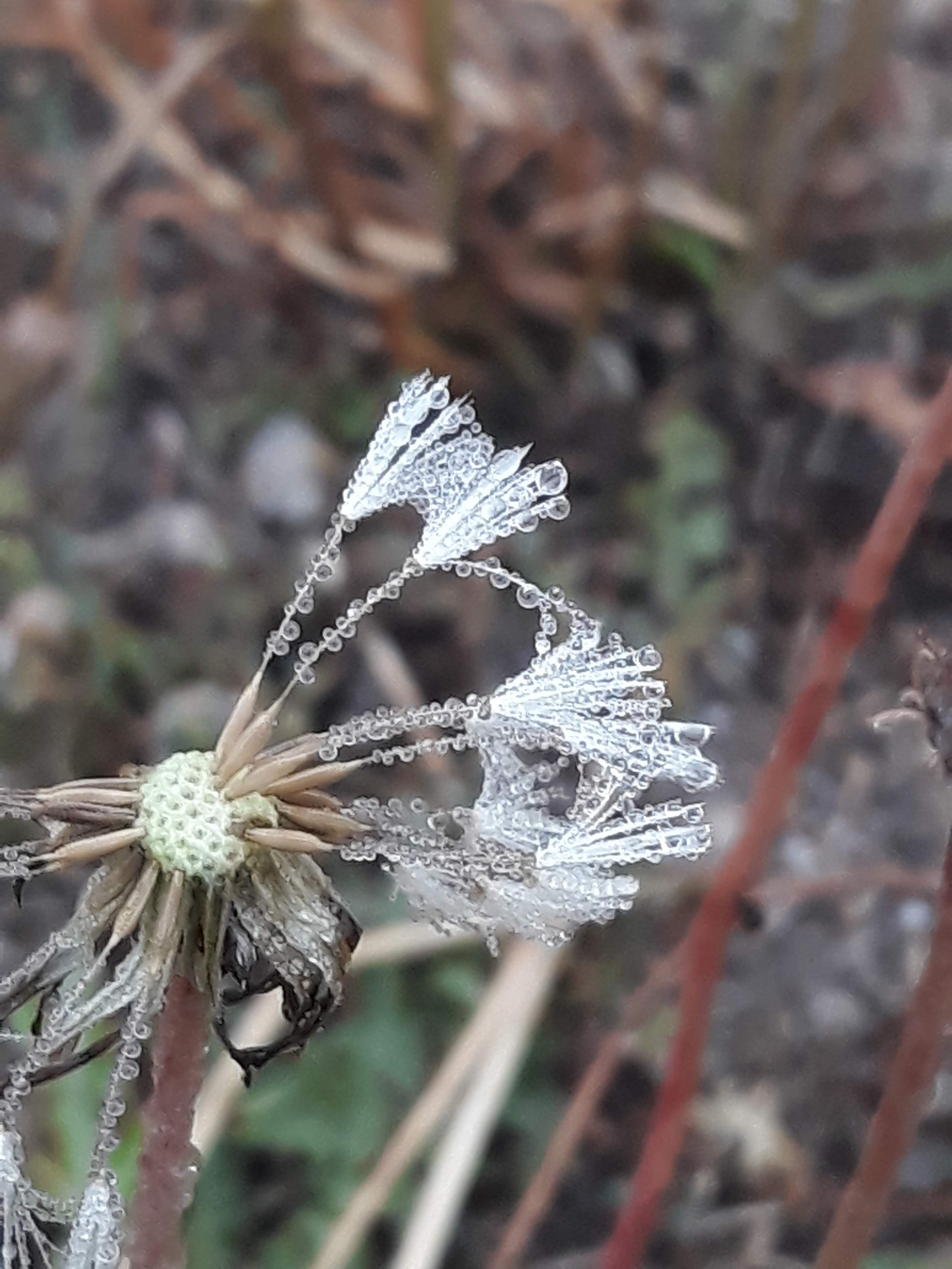 20191014_081533.jpg