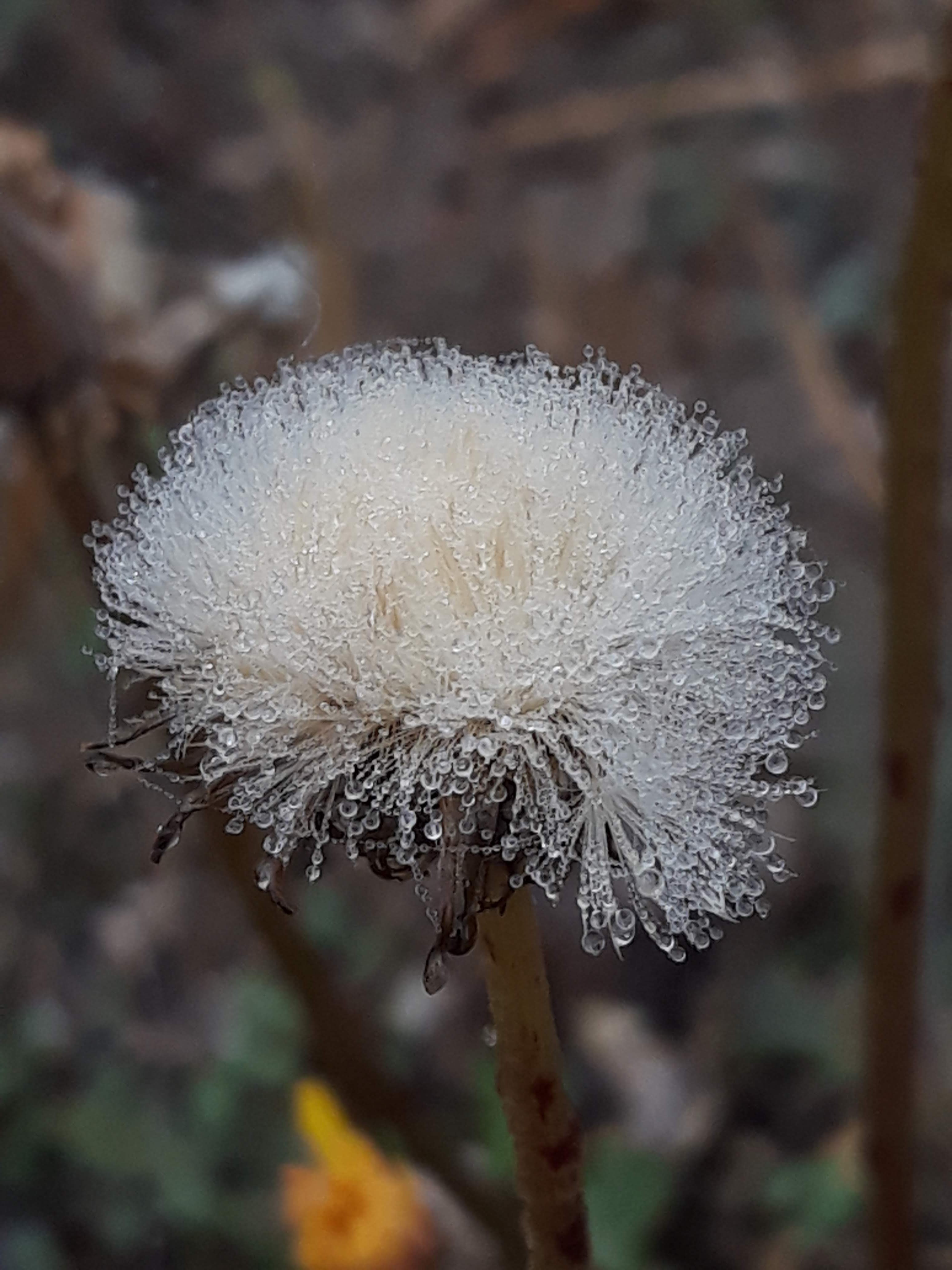 20191014_081639.jpg