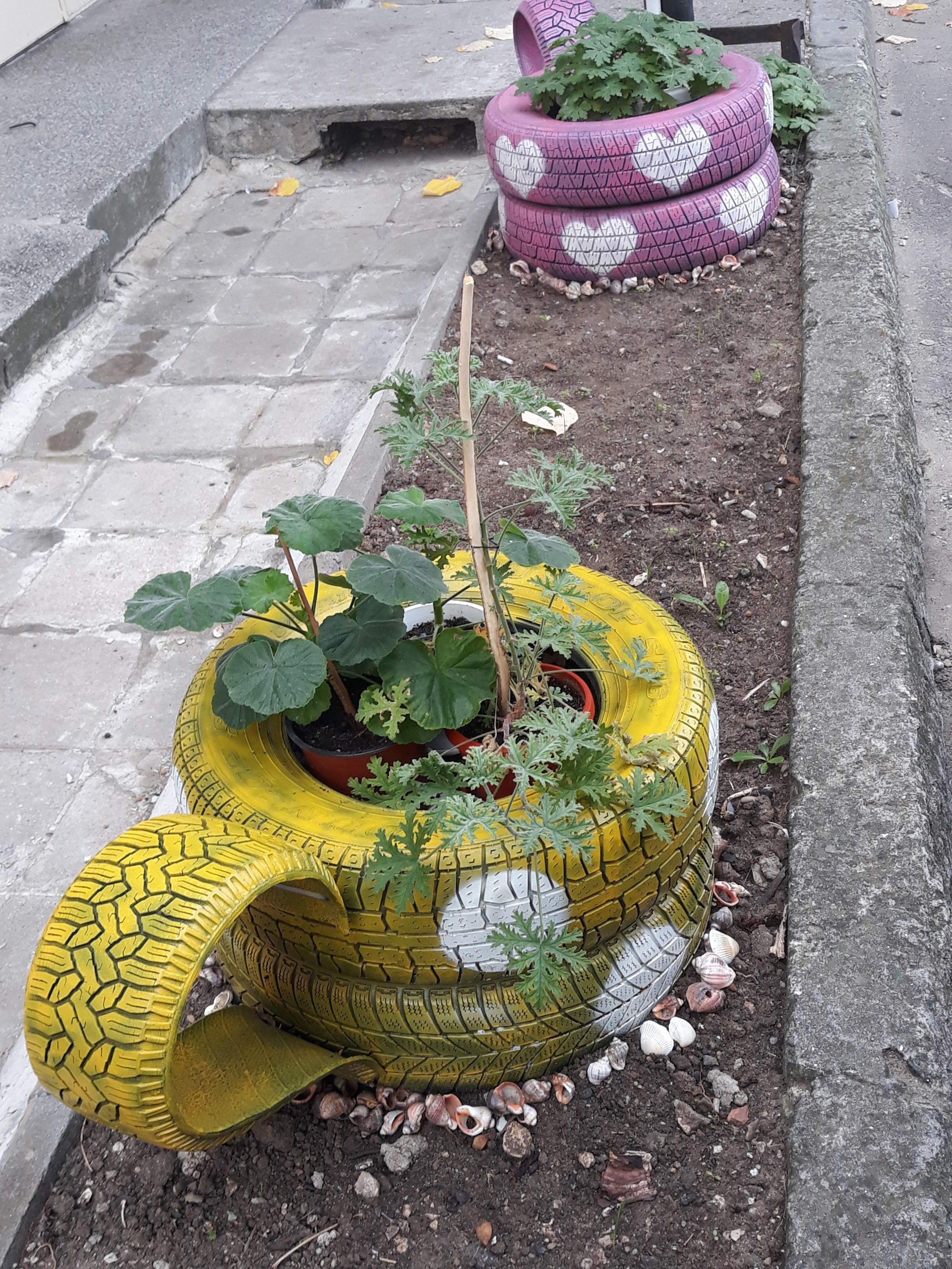 20191018_083645.jpg