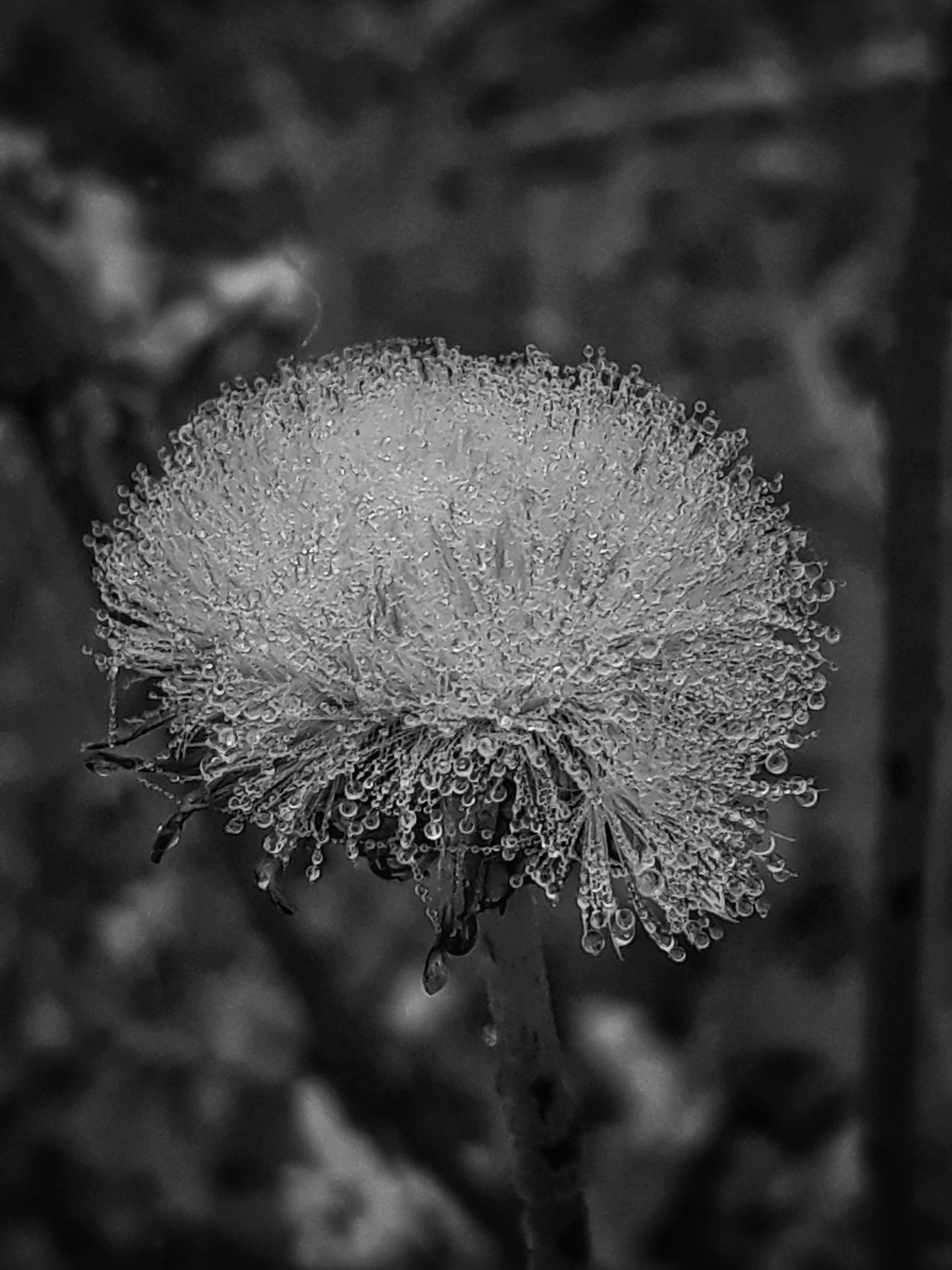 20191014_08163901.jpeg